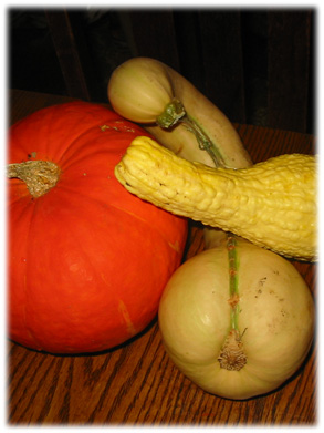 Privacy Gourds